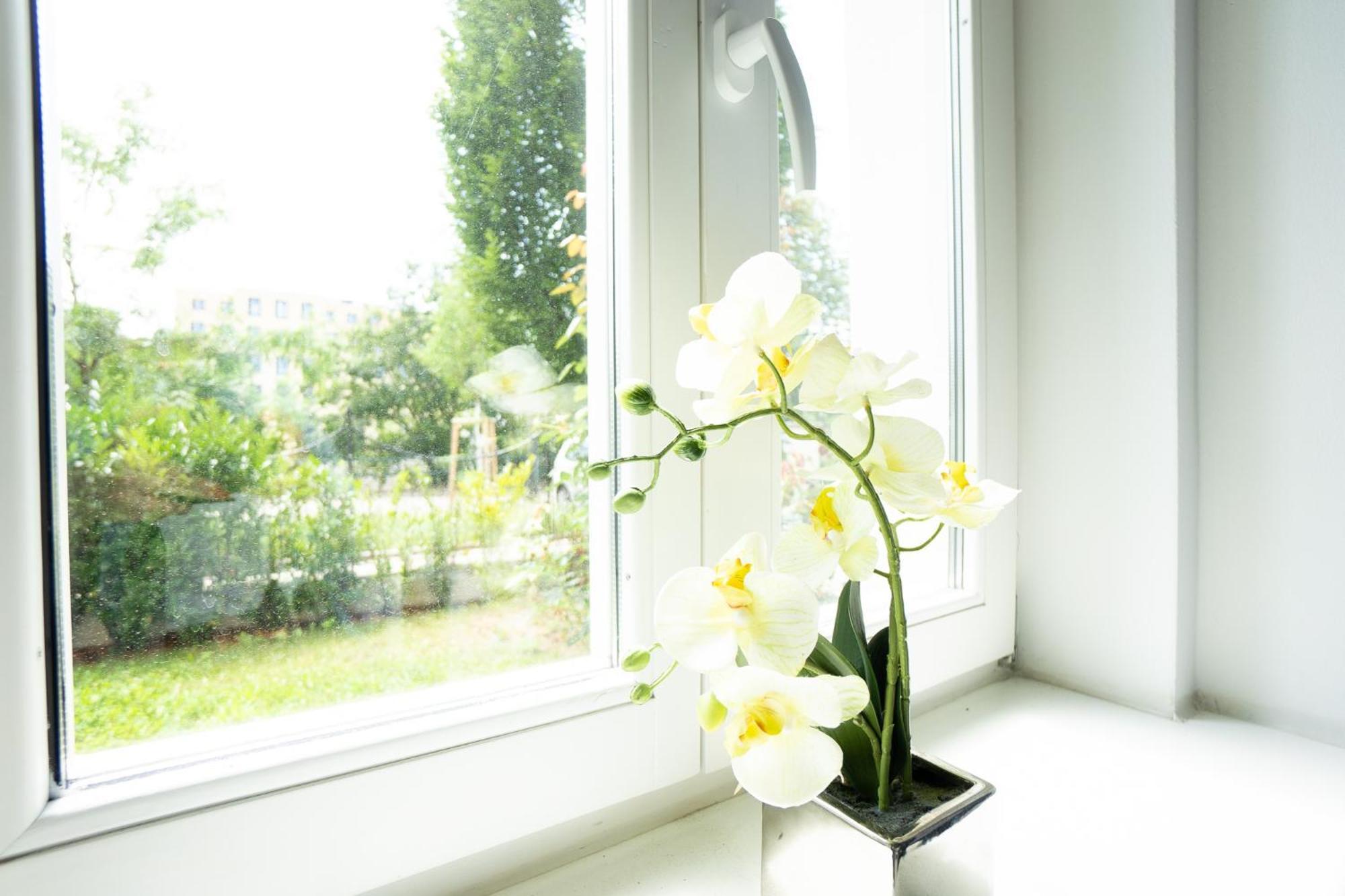 Dainn Apartments Schoenbrunn 비엔나 외부 사진